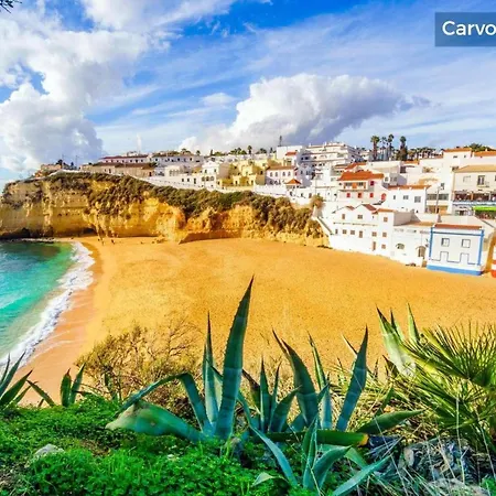 Villa Awesome In Carvoeiro W- *